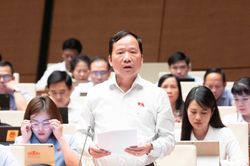 Đại biểu Quốc hội tỉnh góp ý về việc thành lập thành phố trực thuộc Trung ương và các dự án luật