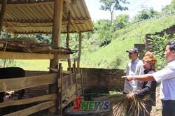 Chủ động phòng chống dịch bệnh cho đàn vật nuôi
