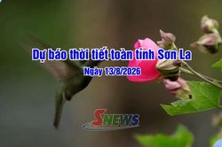 Dự báo thời tiết toàn tỉnh Sơn La ngày 13/8/2026
