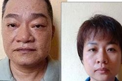 Công an Hải Phòng tìm người mua 33 thửa đất liên quan vụ án lừa đảo tại Anh Dũng IV