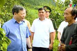 Khoa học kỹ thuật - Kết nối trí tuệ, kiến tạo phát triển