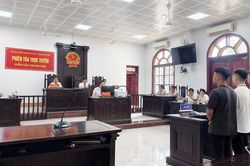 Lĩnh án vì gây rối trật tự công cộng