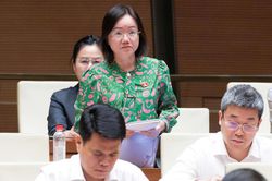 ĐBQH: Nên cho thăm dò, khai thác khoáng sản từng phần, gỡ vướng nguồn vật liệu xây dựng