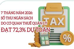 Infographics: Ngành Thuế thu ngân sách đạt 72,3% dự toán
