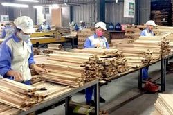 Doanh nghiệp xuất khẩu gỗ cần xác định đúng mã HS để áp dụng thuế suất