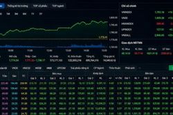 VN-Index tăng gần 20 điểm, VIC một mình đỡ thị trường