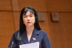Thành phố mới phải tạo ra chuẩn mực phát triển mới