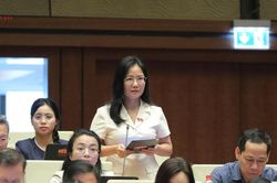 Trao quyền tự công bố phải đi cùng trách nhiệm pháp lý tương xứng