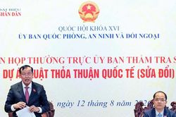 Thẩm tra sơ bộ dự án Luật Thỏa thuận quốc tế (sửa đổi)