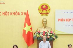Bổ sung định hướng ph&aacute;t triển 4 nh&oacute;m nh&agrave; ở