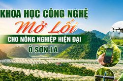 Khoa học công nghệ: Mở lối cho nông nghiệp hiện đại ở Sơn La