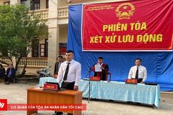 Tòa án nhân dân tỉnh Điện Biên nâng cao chất lượng xét xử án hình sự