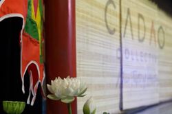 Cadao Collective: Điểm hẹn thưởng thức di sản mới của Thủ đô