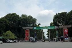 Khi công viên Thống Nhất mở rộng kết nối