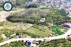 Bắc Ninh cho phép phân lô, bán nền tại dự án khu dân cư hơn 13 ha