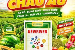 Nhà máy icrop đưa dòng phân bón nhập khẩu tiêu chuẩn xuất khẩu về thị trường trong nước