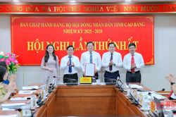 Hội nghị Ban Chấp hành Đảng bộ HĐND tỉnh lần thứ nhất, nhiệm kỳ 2025 - 2030