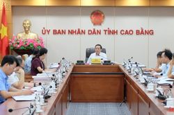 Ban Thường vụ Đảng ủy UBND tỉnh cho ý kiến nhiều nội dung quan trọng về phát triển kinh tế - xã hội
