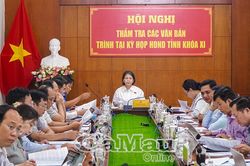 Thẩm tra nhiều nội dung quan trọng về đầu tư công
