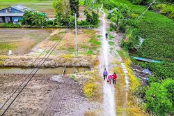 Đề xuất được bố trí vốn nâng cấp tuyến bờ Đông kênh Đê Trong