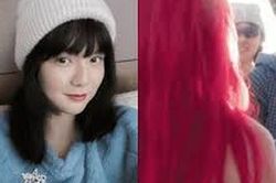 Từ Đà Lạt, Thái Lan đến Mỹ: Vì sao Sơn Tùng và Hải Tú liên tục bị netizen 'soi' chung khung hình?