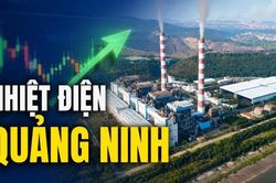 Nhiệt điện Quảng Ninh lãi 524 tỷ đồng