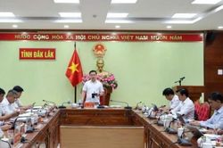 Đắk Lắk chuyển mạnh tư duy nông nghiệp từ 'sản lượng' sang nâng cao giá trị gia tăng