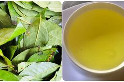 Điều gì sẽ xảy ra với cơ thể nếu bạn uống nước chè xanh mỗi ngày?