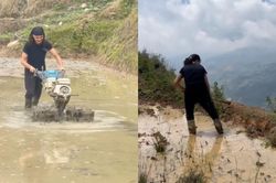 Xem khách Tây cuốc đất, đi bừa ở Tà Xùa, dân mạng đùa 'đi săn mây hay săn việc'