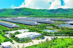 Tiêu chuẩn xanh: Từ 'giấy thông hành' đến lợi thế cạnh tranh của hàng Việt