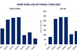 Lực b&aacute;n &aacute;p đảo, gi&aacute; l&uacute;a m&igrave; v&agrave; c&agrave; ph&ecirc; Robusta đồng loạt giảm