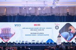 T&igrave;m cơ hội mở rộng đầu tư giữa Việt Nam v&agrave; 'cửa ng&otilde;' ch&acirc;u Phi