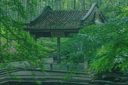 Tháng sinh Âm lịch của người có 'cái đầu lạnh': Gặp biến cố vẫn bình tĩnh biến nguy thành an