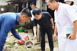 Hà Tĩnh ghi nhận 11 ca sốt xuất huyết, tăng cường khoanh vùng dập dịch