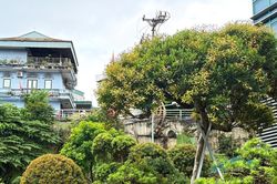 Khoảng trống ph&iacute;a sau 'cơn sốt' tr&acirc;m suối