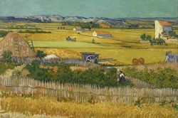 Van Gogh và vẻ đẹp rực rỡ của miền Provence