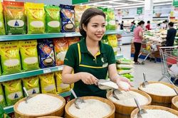 Giá lúa gạo hôm nay 13.8.2026: IR 504 giữ đà tăng