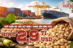 Xuất khẩu hạt điều Việt Nam đạt 2,9 tỉ USD, Trung Quốc dẫn đầu