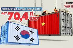 Việt Nam - Hàn Quốc: 70,4 tỉ USD thương mại, nhập siêu hơn 32,3 tỉ USD