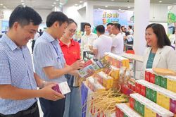 Quảng Ngãi tổ chức chuỗi sự kiện lớn, mở rộng cơ hội hợp tác, đầu tư và phát triển du lịch