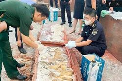 Gần 1,2 tấn ngà voi: Người tiêu dùng và trách nhiệm với động vật hoang dã
