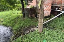 Trang trại heo bị phản ánh ô nhiễm: Kiểm tra phát hiện nhiều tồn tại