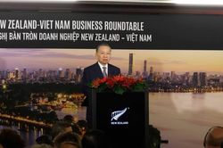 [Ảnh] Tổng Bí thư, Chủ tịch nước Tô Lâm dự Tọa đàm doanh nghiệp Việt Nam-New Zealand
