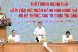 [Ảnh] Thủ tướng Lê Minh Hưng làm việc với Ngân hàng Nhà nước Việt Nam và các hệ thống tín dụng