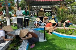 Tinh gọn trường học ở Đồng Tháp
