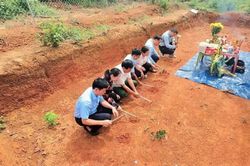 Nghệ An: Khai quật khẩn cấp mộ gạch cổ tại Rú Bụt