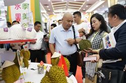 Nối dài chuỗi kỷ lục xuất khẩu sầu riêng