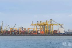 Kiến tạo vị thế logistics Đà Nẵng trên bản đồ vận tải xuyên biên giới