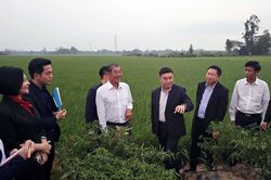 Người bạn lớn, người đồng chí thủy chung, gắn bó của Việt Nam