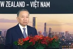Tổng Bí thư, Chủ tịch nước Tô Lâm dự Hội nghị bàn tròn doanh nghiệp New Zealand - Việt Nam